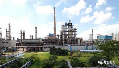 大开眼界！茂名这座“花园式工厂”，原来这么美！